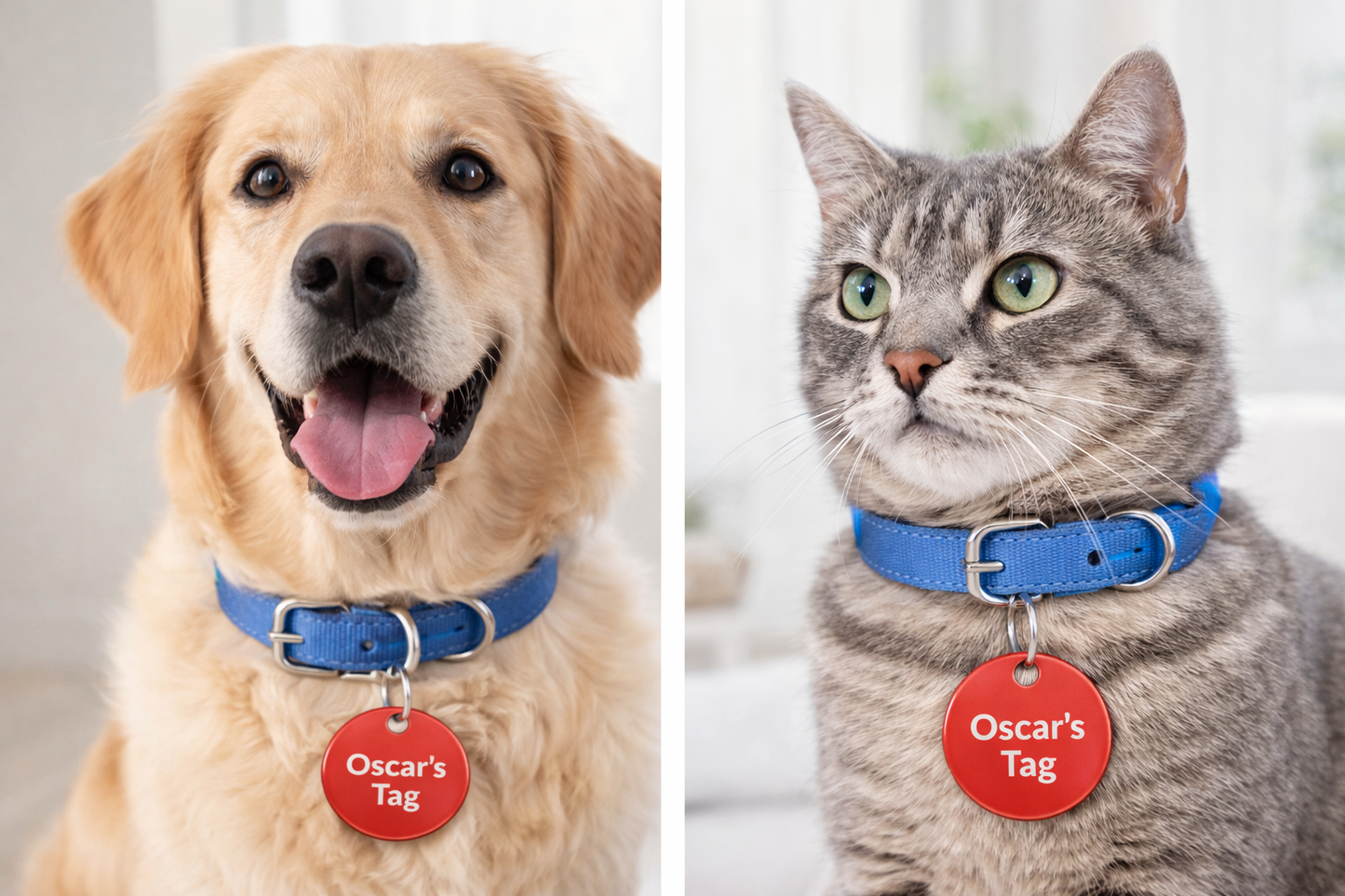 Personalized Engraved Pet ID Tag | Custom Aluminum Dog & Cat Collar Charm (Circle)