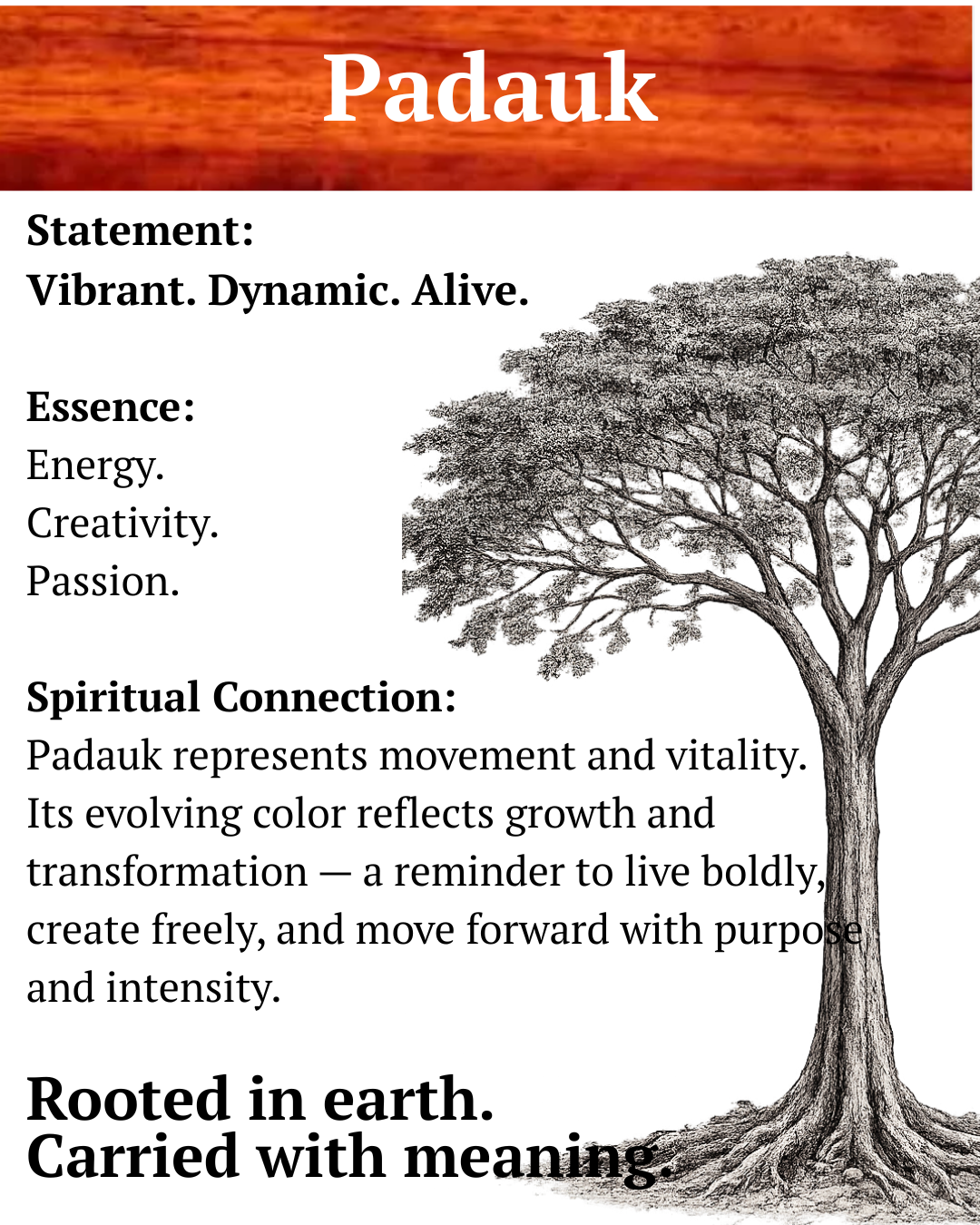 Handcrafted Padauk Oval Pendant Necklace – Artisan Wood Statement Jewelry – Earthbound Echoes